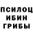 Галлюциногенные грибы Psilocybe Rayzen 3