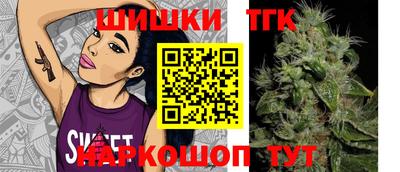 индика Бийск