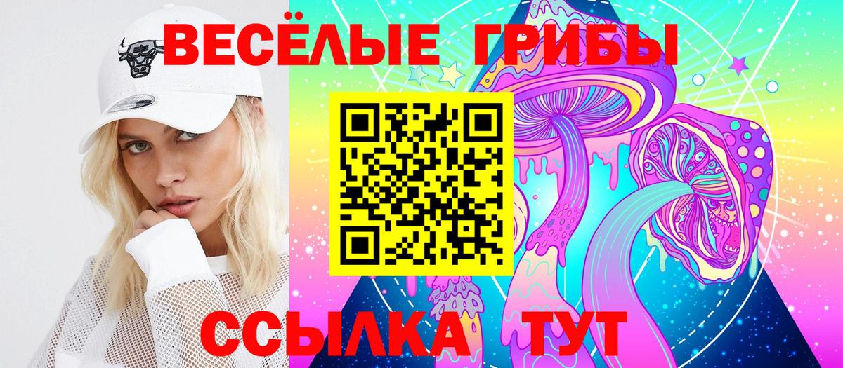 Псилоцибиновые грибы мухоморы  Вход с VPN  Бердск  Псилоцибиновые грибы MAGIC MUSHROOMS 