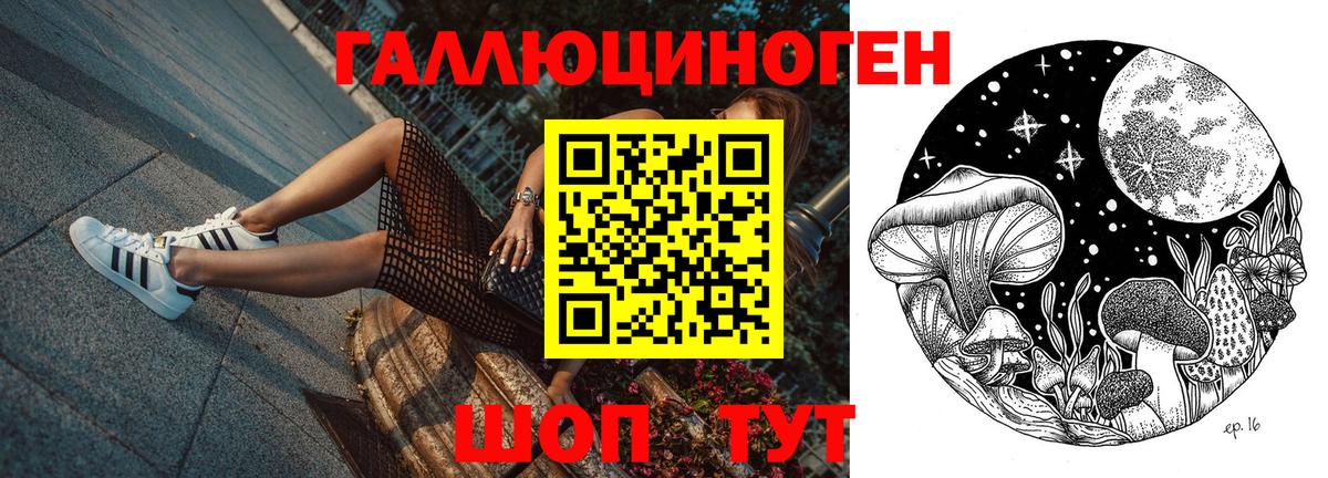Галлюциногенные грибы Psilocybine cubensis Бердск