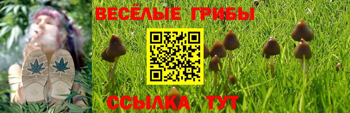 Alpha PVP Бердск