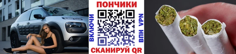 Канабис конопля  где продают наркотики  Бердск 